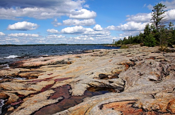 Wreck Island Shore VII by Deb Oppermann